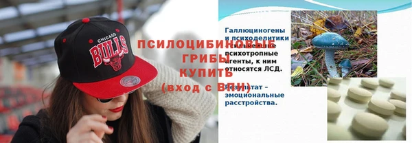 метадон Новодвинск