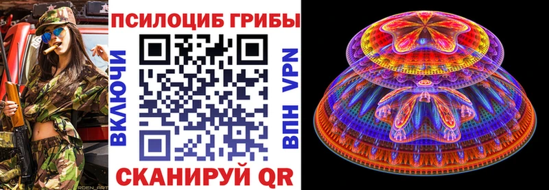 купить наркотик  Родники  Галлюциногенные грибы Magic Shrooms 